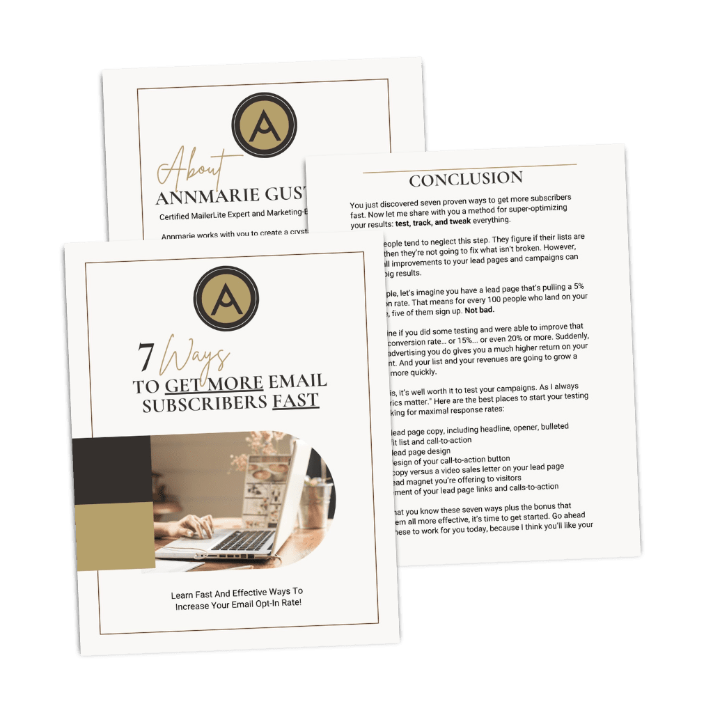 Mockup of the free PDF download, 7 Ways to Get More Email Subscribers Fast. 